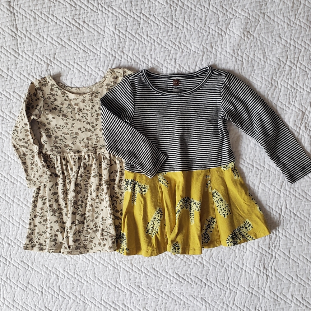 Colored Organics / Tea Collection Skater Dress Bundle Toddler Girls Size 2T